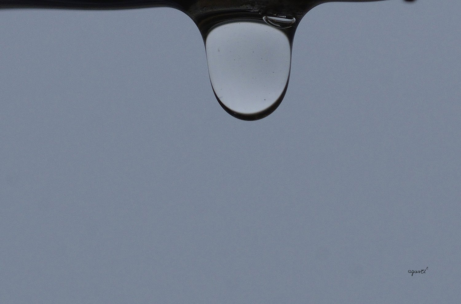 gota d’aigua de pluja-Palamós