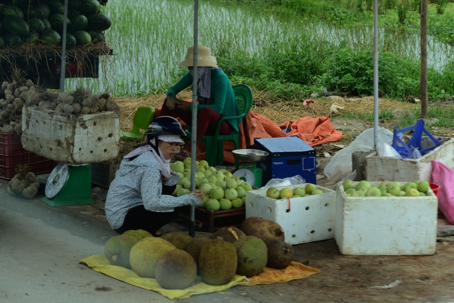 venta directa al carrer - voltans de Hanoi